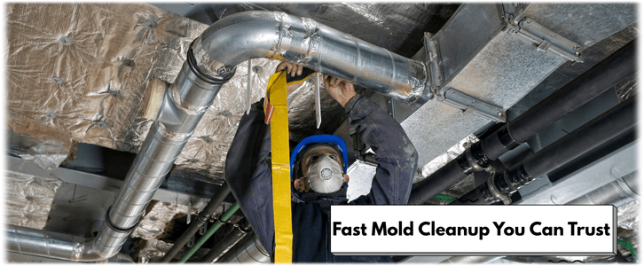 Air Duct Mold Removal in Diamond Bar CA