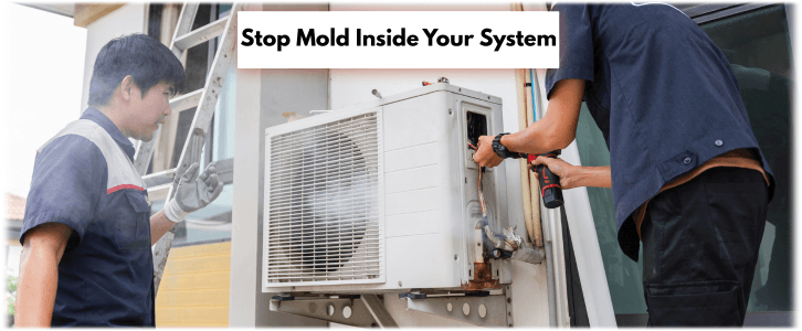 HVAC Mold Removal Diamond Bar CA